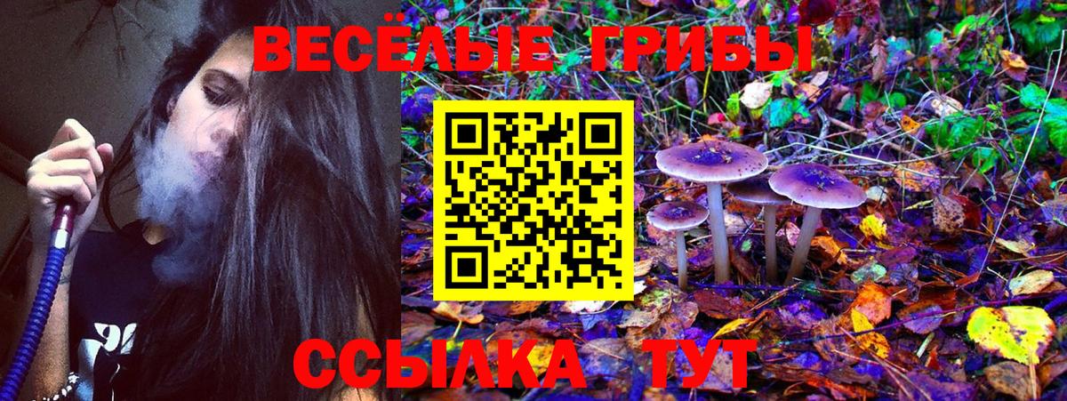 Галлюциногенные грибы Cubensis Надым